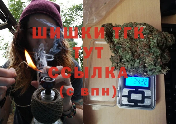 дживик Богородск