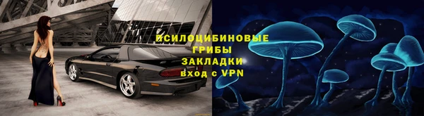 дживик Богородск