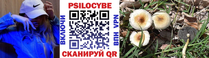 Псилоцибиновые грибы Psilocybine cubensis  мориарти клад  Вуктыл 